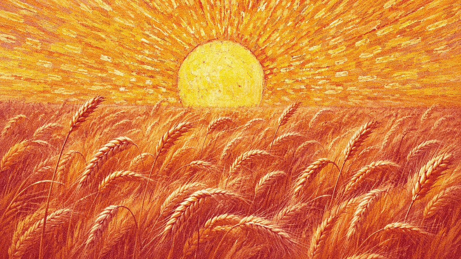 EL TRIGO Y SUS DORADAS ESPIGAS SOLARES